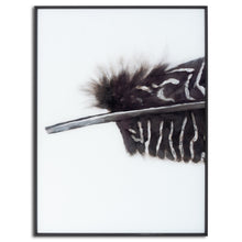 Load image into Gallery viewer, Feather Trio   - Contemporary Monochrome Framed Glass Wall Artwork
