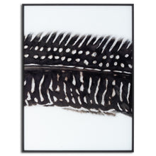 Load image into Gallery viewer, Feather Trio   - Contemporary Monochrome Framed Glass Wall Artwork
