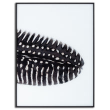 Load image into Gallery viewer, Feather Trio   - Contemporary Monochrome Framed Glass Wall Artwork
